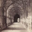 The cloisters at Gloucester Cathedral